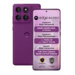 PANTONE SPARKLING GRAPE